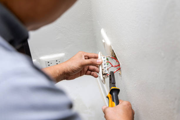 Best Ceiling Fan Installation Electrician  in Lake Stickney, WA