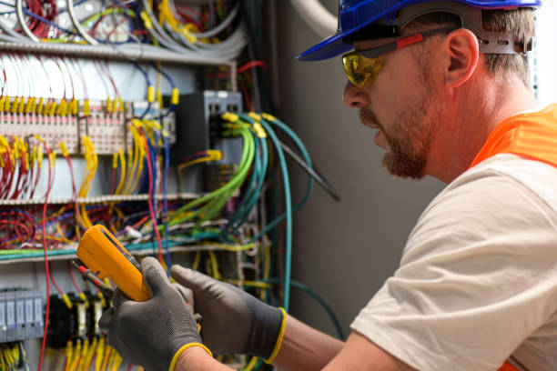 Best Electric Panel Repair  in Lake Stickney, WA